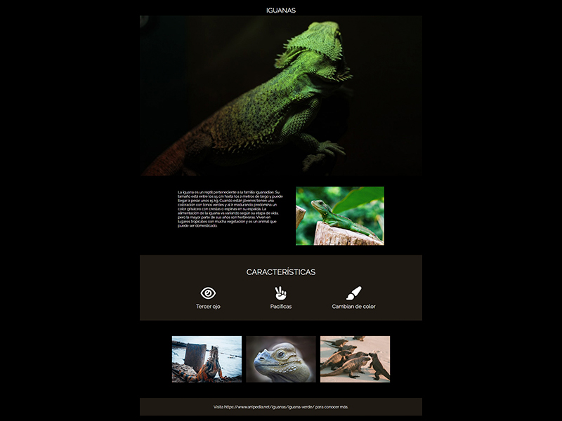 Iguana Page